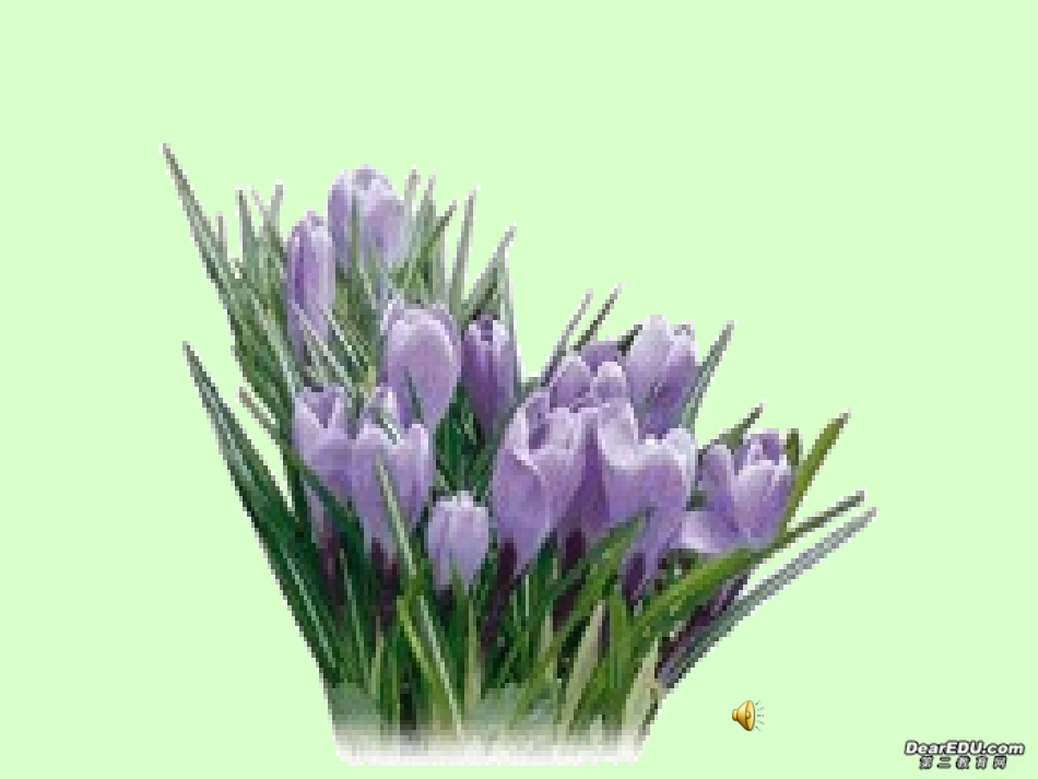 九年级化学酸和碱之间会发生什么反应优质课用的课件2013310_第1页