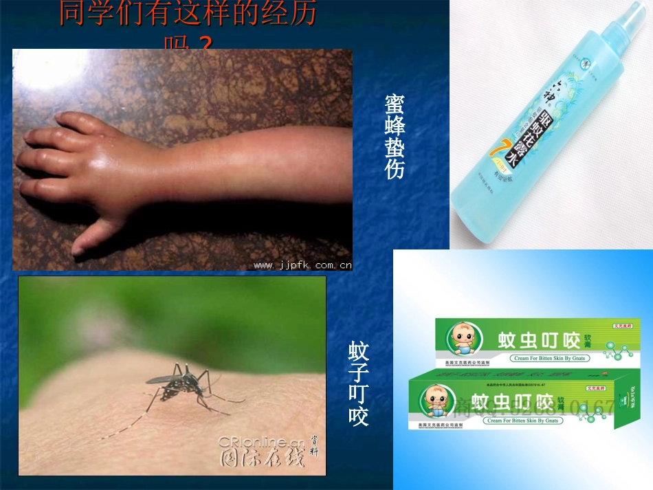 九年级化学酸和碱之间会发生什么反应优质课用的课件2013310_第2页