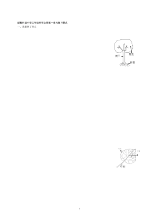 新教科版小学三年级科学上册复习要点