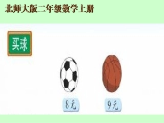 2013新北师大版小学数学二年级上册买球