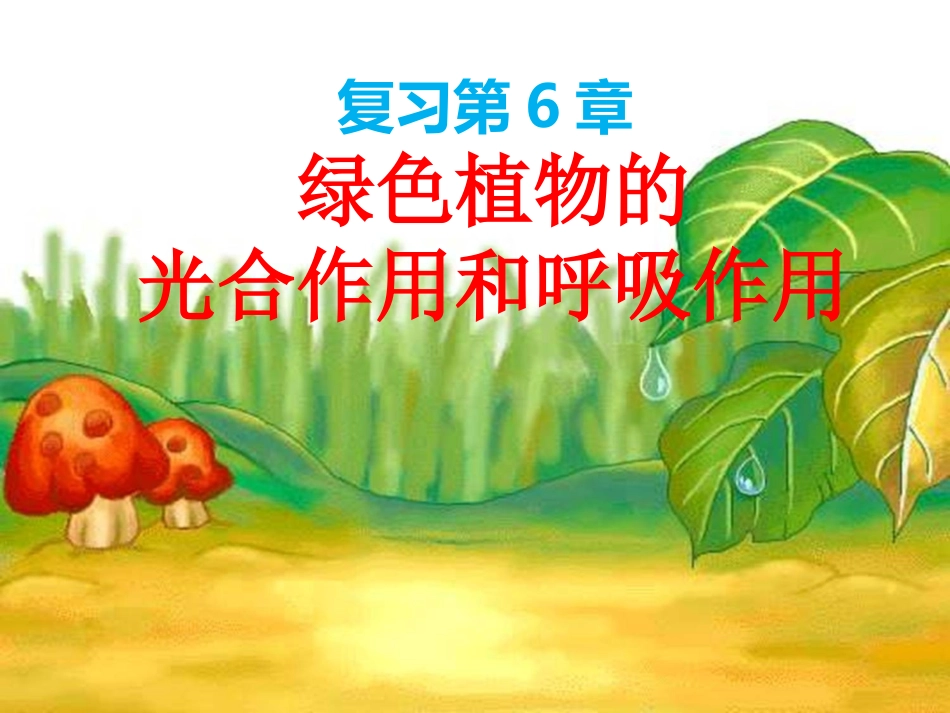 生物：第6章植物的光合作用和呼吸作用复习课件（苏教版七年级上）_第1页