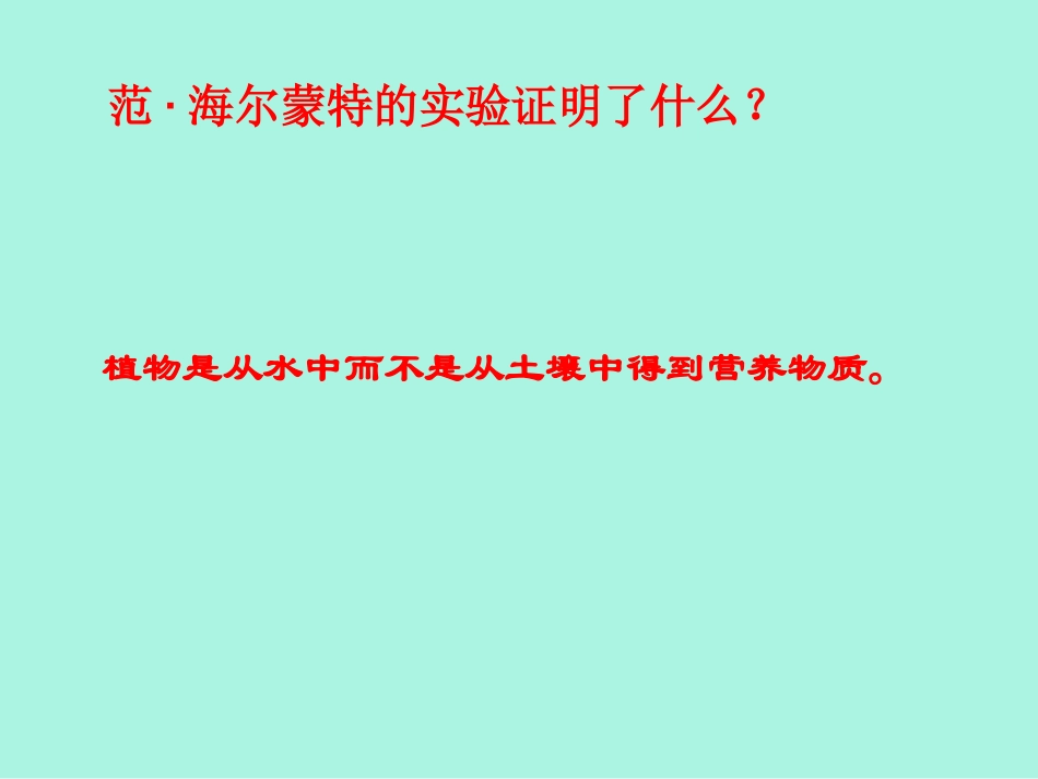 生物：第6章植物的光合作用和呼吸作用复习课件（苏教版七年级上）_第3页