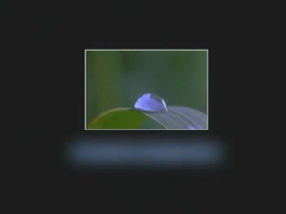 初中生物第2册第6章第一节＿人体对外界环境的感知（眼、视觉、近视）_第3页