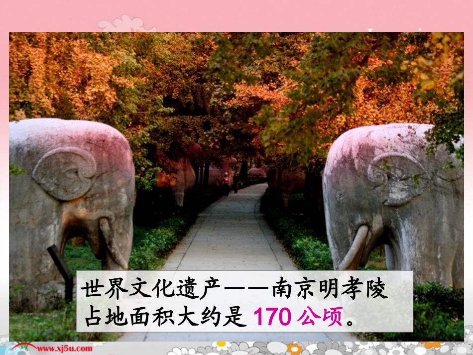 北师大版数学五年级上册《公顷，平方千米》课件_第3页