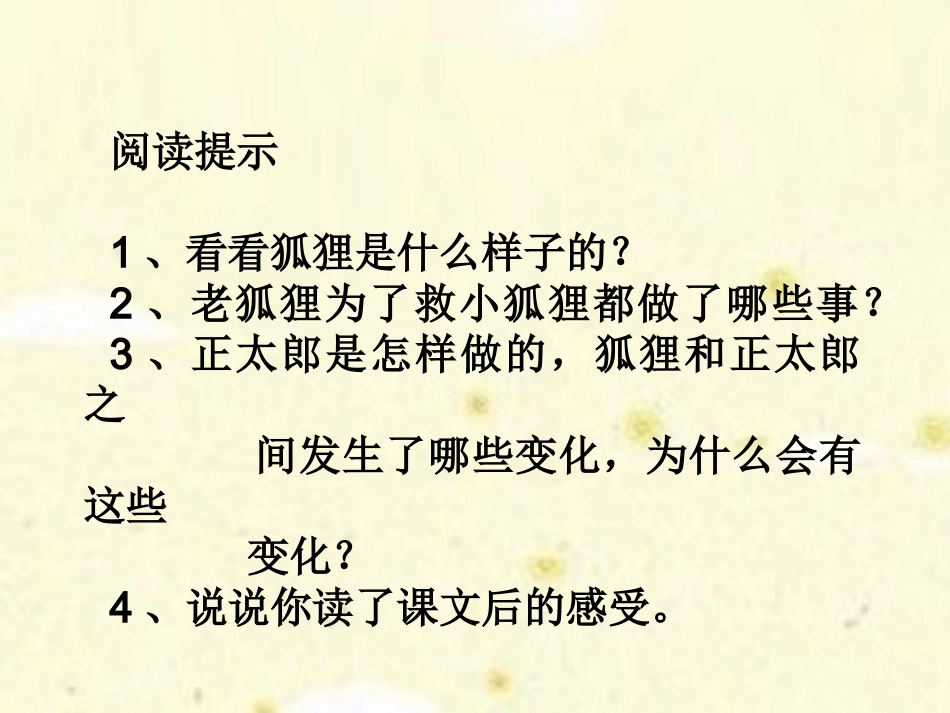 《金色的脚印》参考课件_第3页