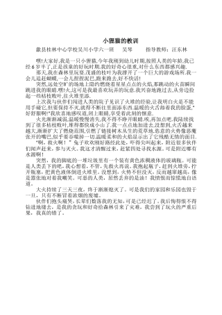 小狸猫的教训