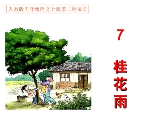 五年级语文《桂花雨》