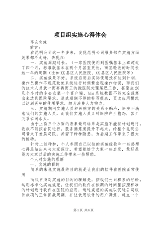项目组实施心得体会