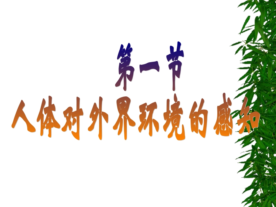 生物：第6章第1节人体对外界环境的感知课件1（人教版七年级下）_第1页