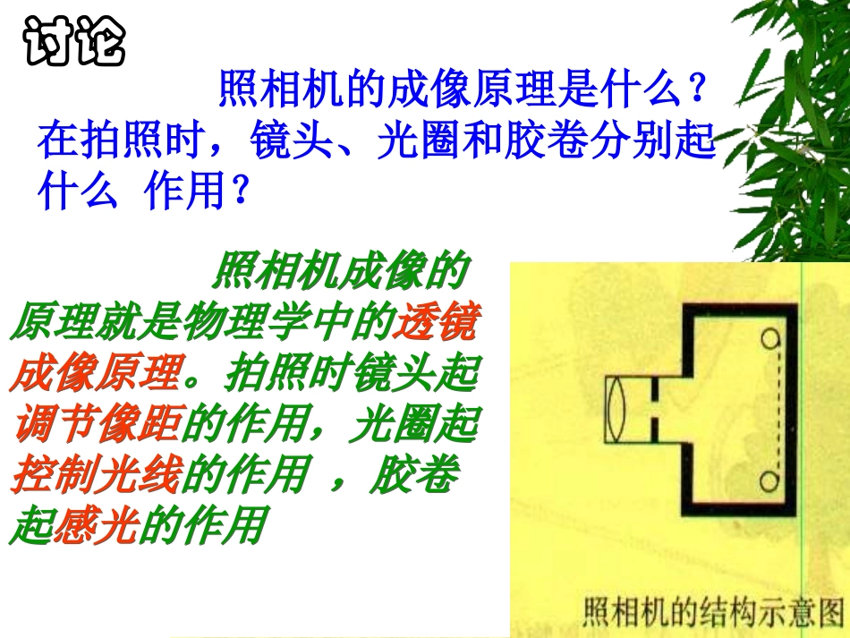 生物：第6章第1节人体对外界环境的感知课件1（人教版七年级下）_第3页