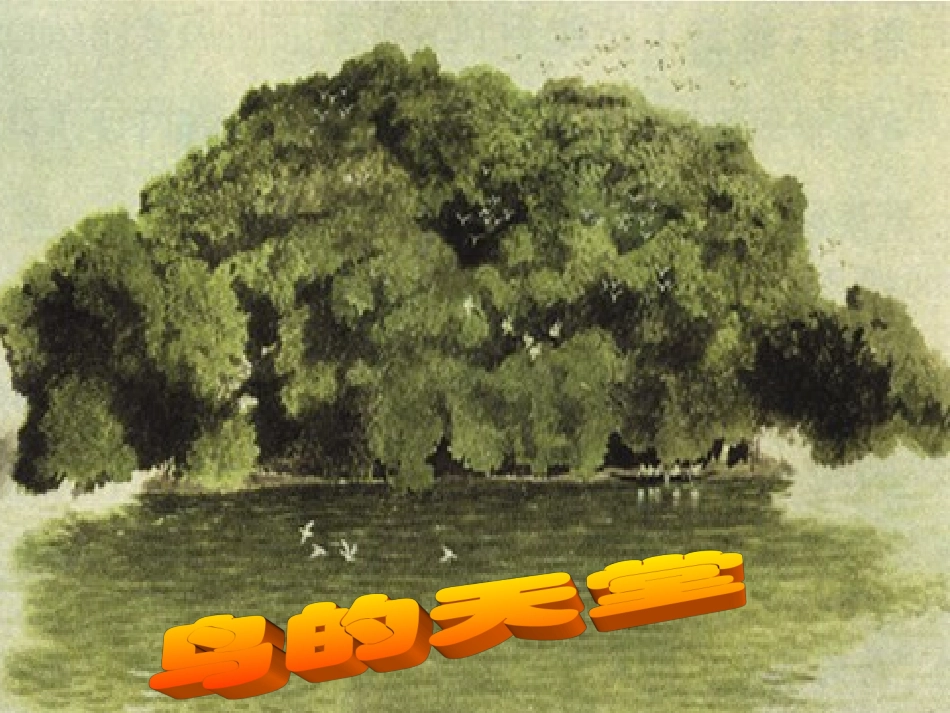 鸟的天堂PPT免费课件_第1页