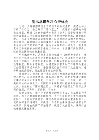 明示承诺学习心得体会