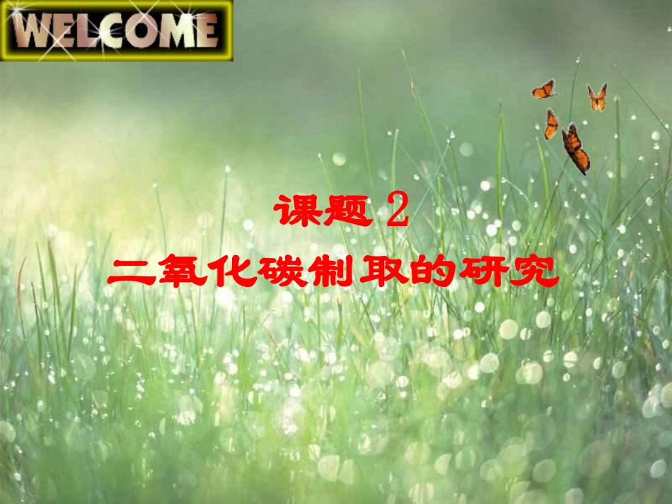 人教版化学九年《二氧化碳制取的研究》课件_第3页