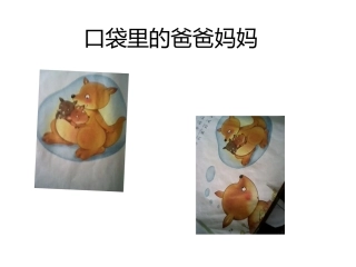 口袋里的爸爸妈妈