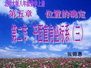 平面直角坐标系（三）张锦惠