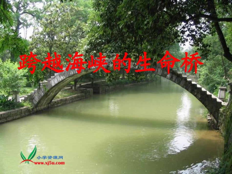 人教新课标四年级语文上册《跨越海峡的生命桥11》PPT课件_第3页