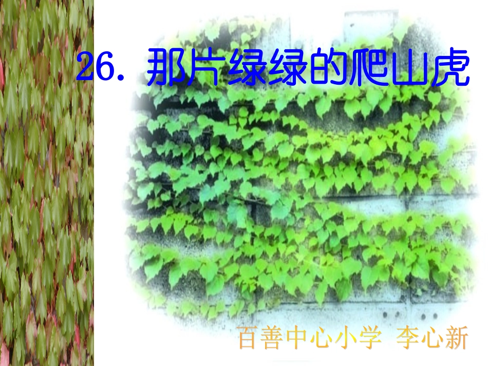四年级《那片绿绿的爬山虎》课件_第1页