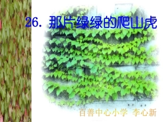 四年级《那片绿绿的爬山虎》课件