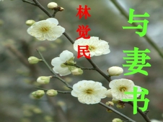 九年级下《与妻书》