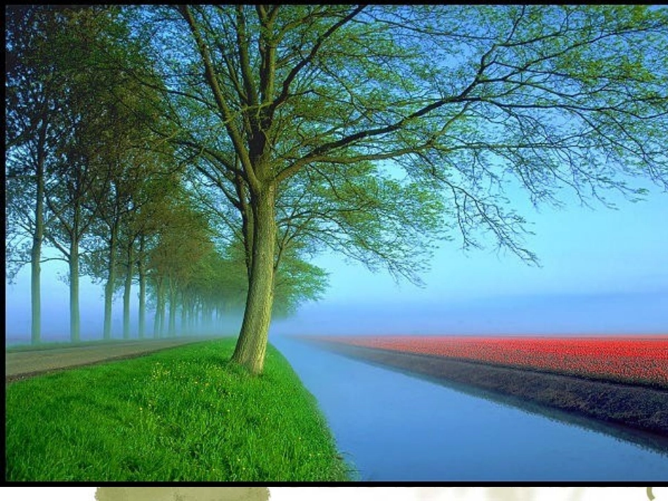 《在光的世界里》复习_第2页