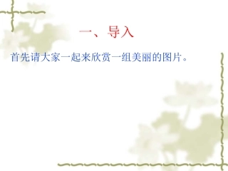 《在光的世界里》复习
