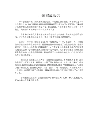小辣椒成长记