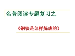 《钢铁是怎样炼成的》复习