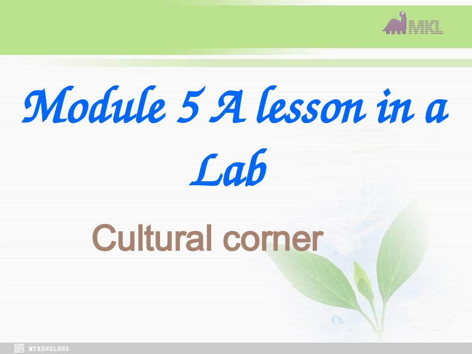 高中英语Module5culturalcorner课件外研版必修1_第1页