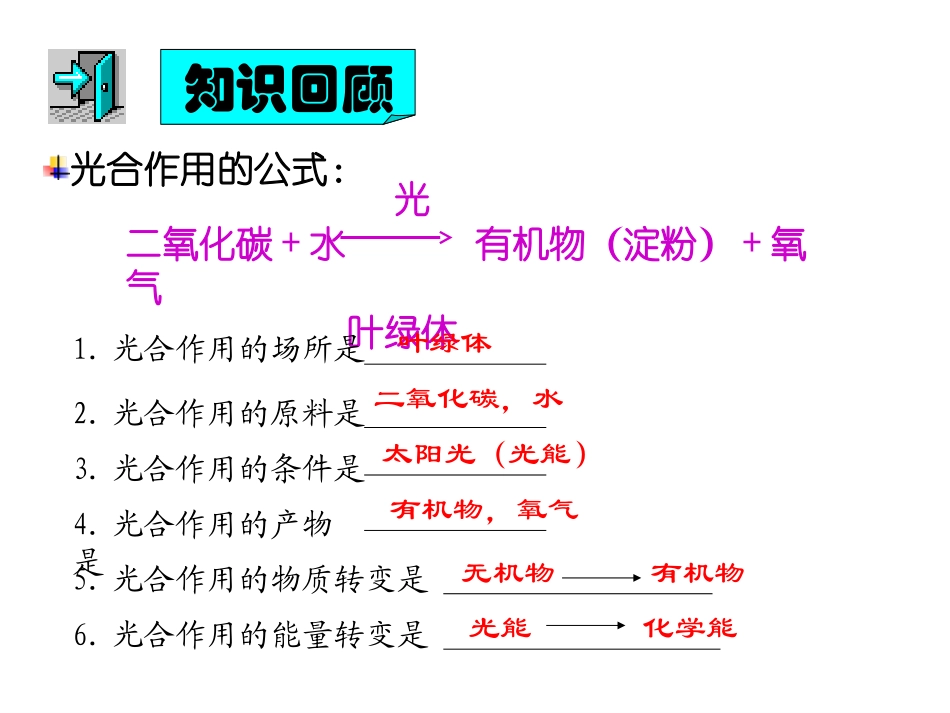 七年级生物绿色植物的呼吸作用_第2页