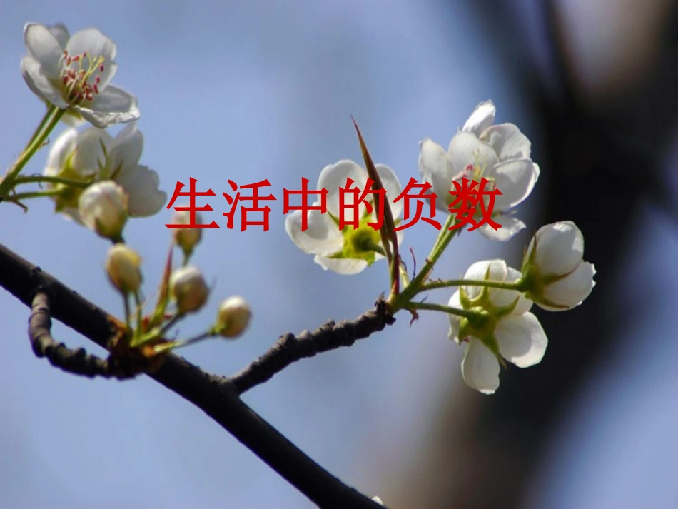 生活中的负数_第1页