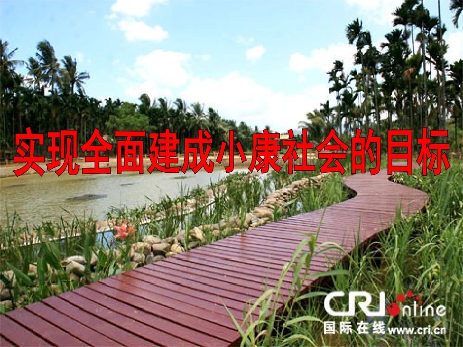 实现全面建成小康社会的目标_第1页