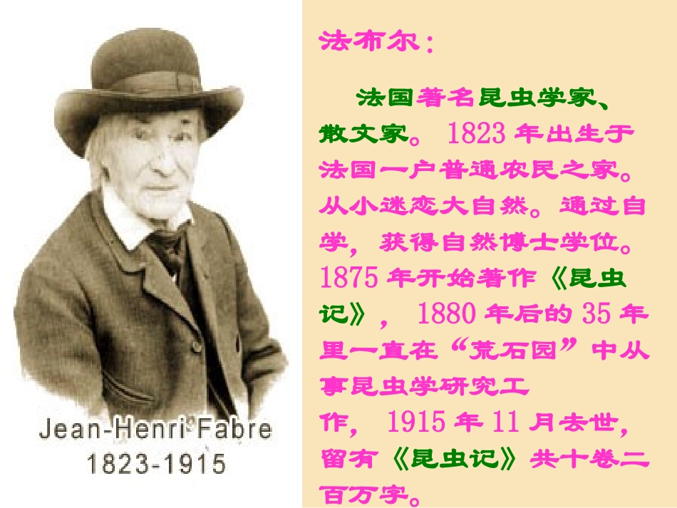 《绿色蝈蝈》上课定稿 (2)_第3页