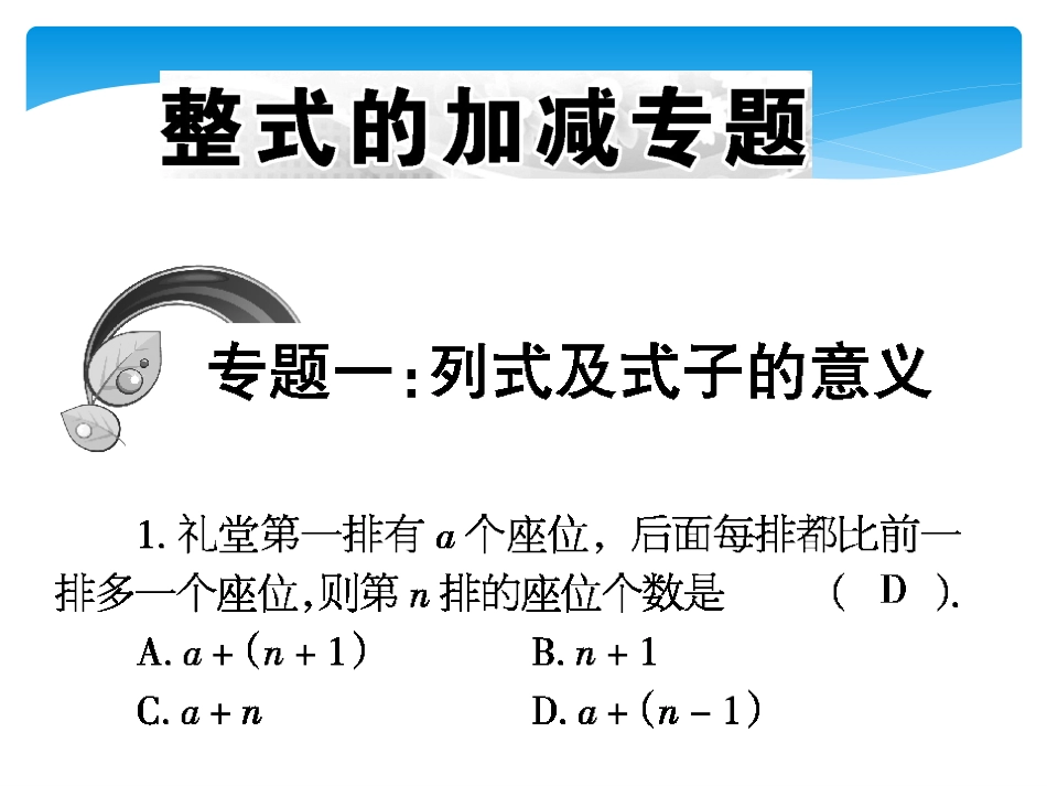 整式的加减专题_第1页