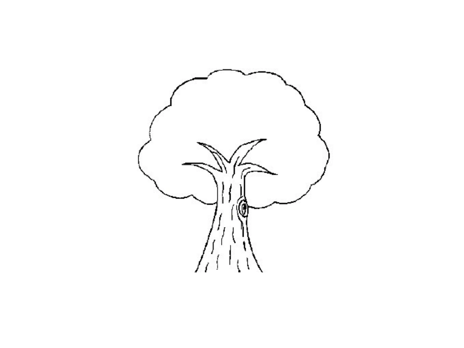 小学一年级美术《画中画》课件_第2页