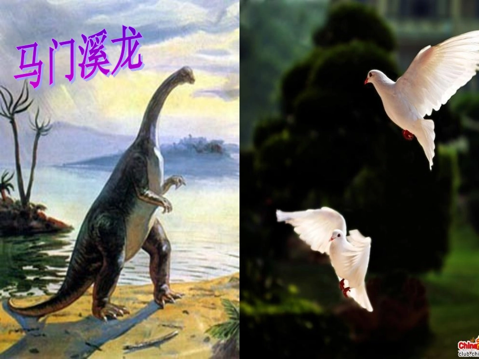 飞向蓝天的恐龙PPT_第3页