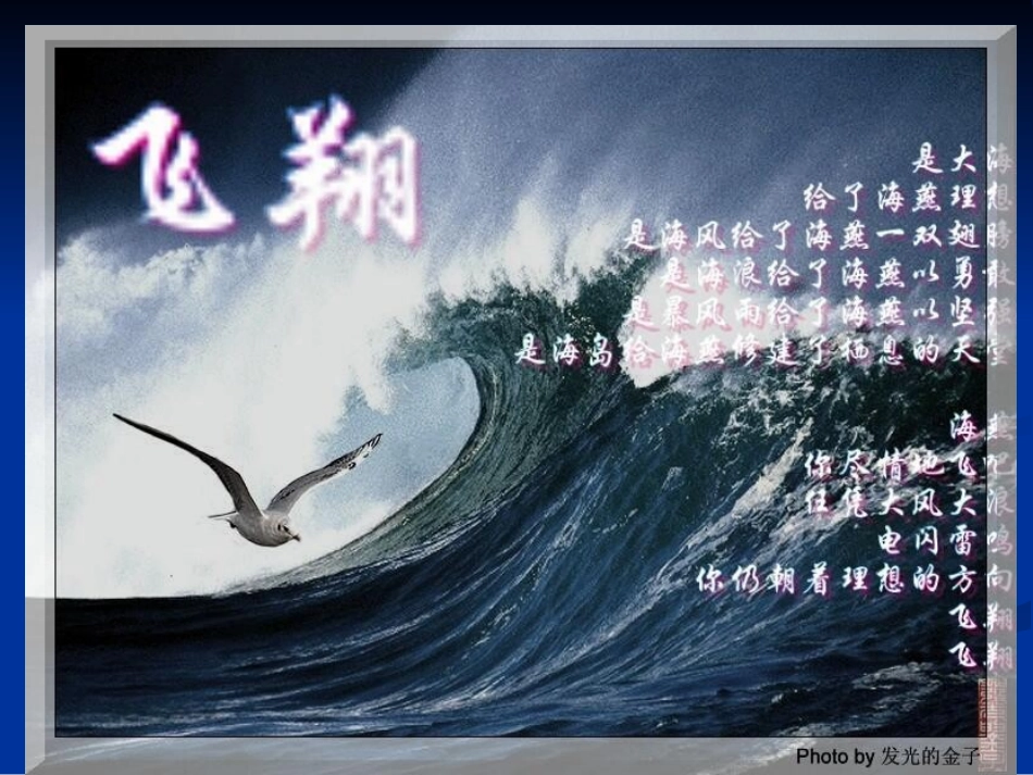 高尔基《海燕》_第3页