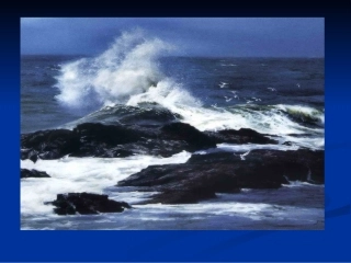 高尔基《海燕》