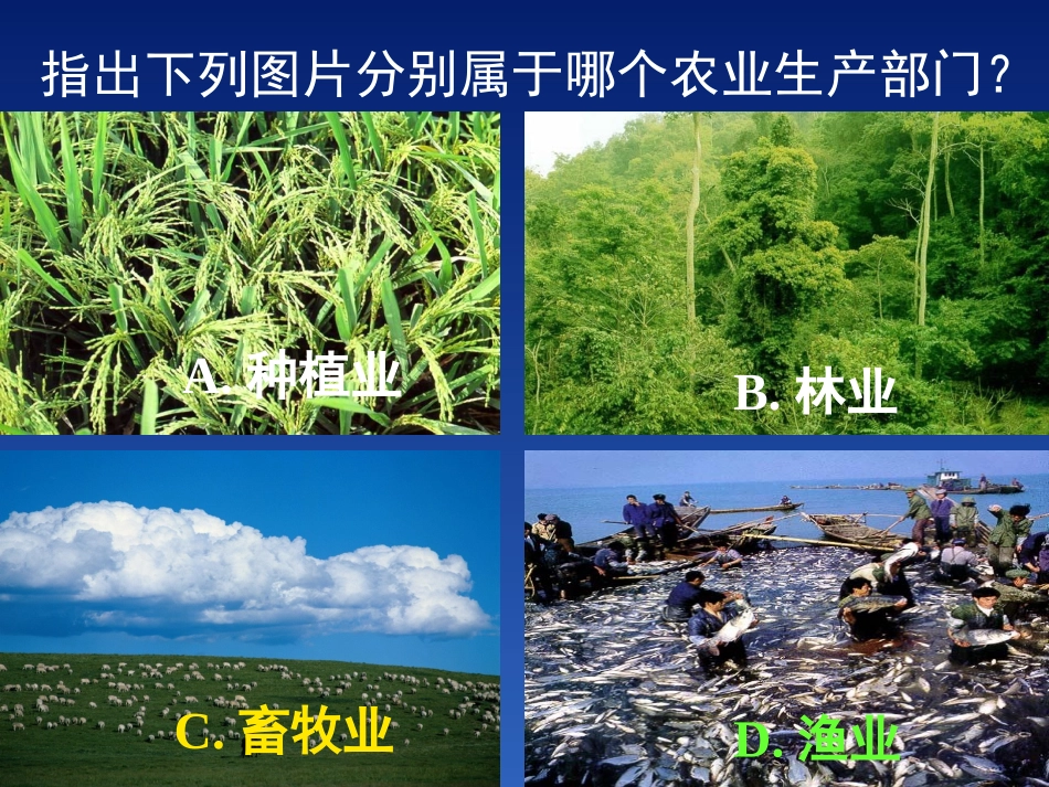 因地制宜发展农业--倪玉龙_第3页