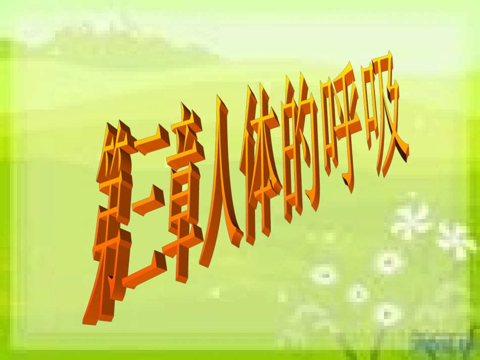 人教版七年级生物人体的呼吸复习_第1页