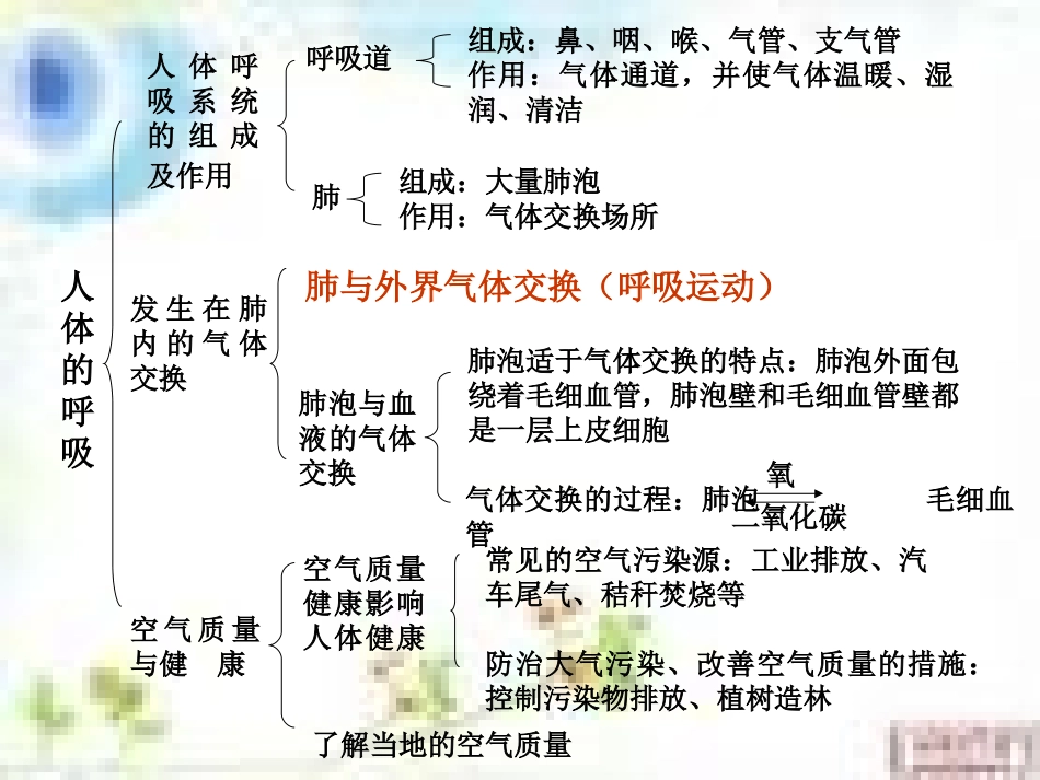 人教版七年级生物人体的呼吸复习_第3页