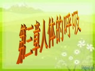 人教版七年级生物人体的呼吸复习