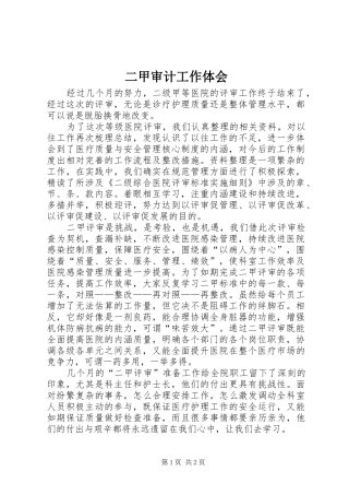 二甲审计工作体会