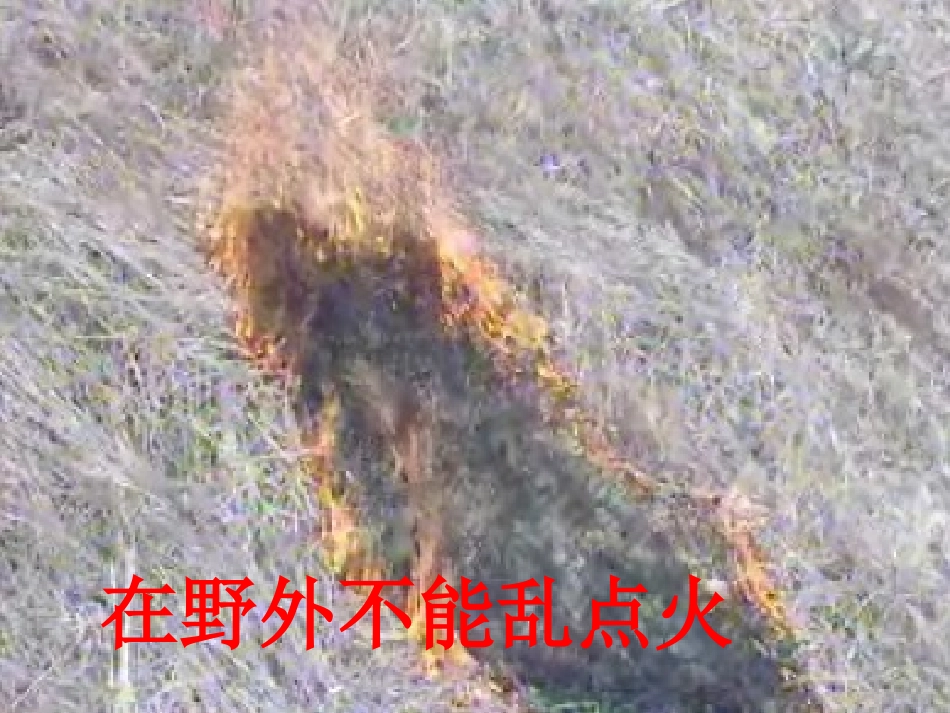 一（2）班冬季用火和交通安全主题班会2014128_第3页
