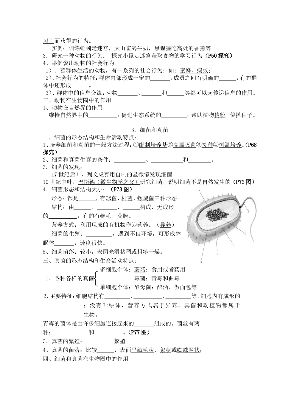 八上八下复习资料_第3页