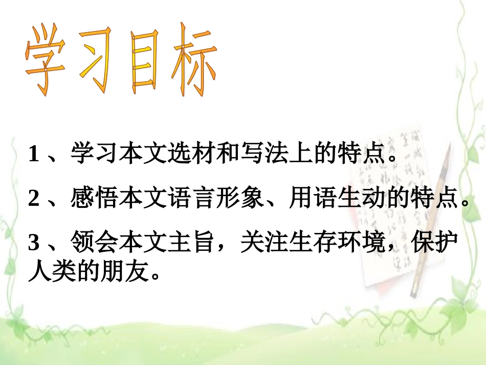 《都市精灵》优秀实用课件_第2页