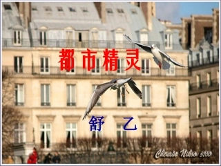 《都市精灵》优秀实用课件