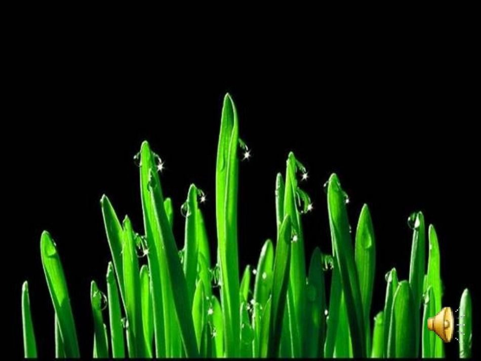 《春》演示文稿_第2页