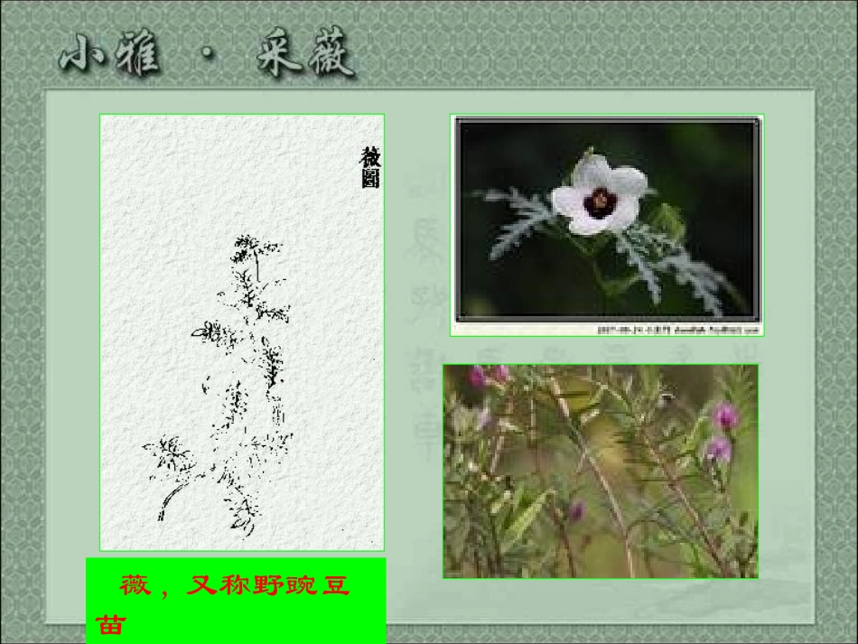 高一语文必修二采薇课件_第2页