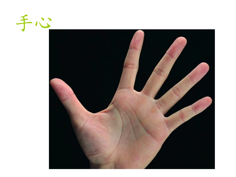 小班综合《我的小手真能干》PPT_第2页