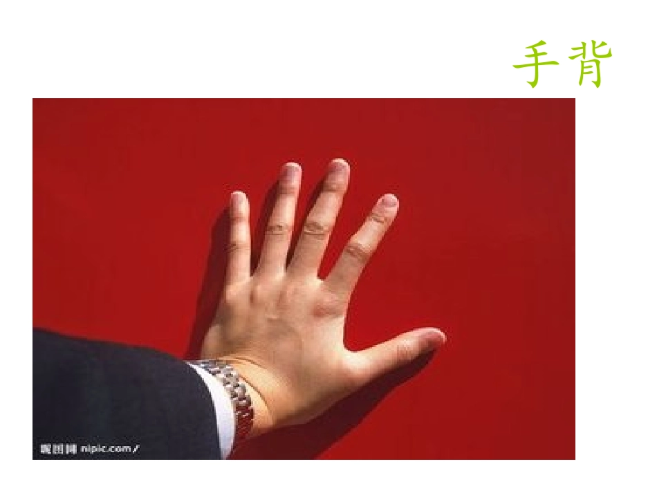 小班综合《我的小手真能干》PPT_第3页